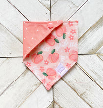 Load image into Gallery viewer, Peachy Keen Pet Bandana
