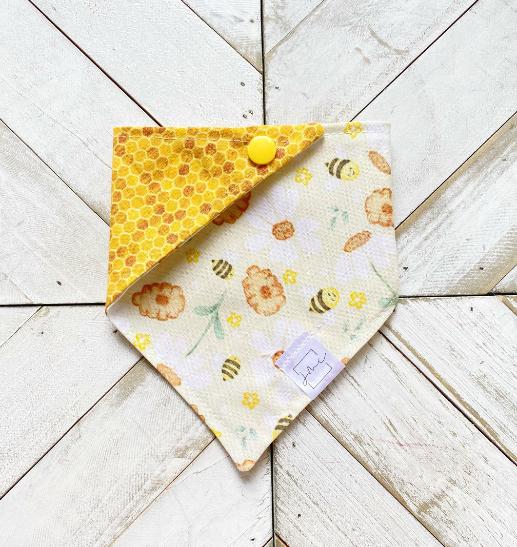 All The Buzz Pet Bandana