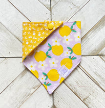 Load image into Gallery viewer, Sour &amp; Flowers Pet Bandana
