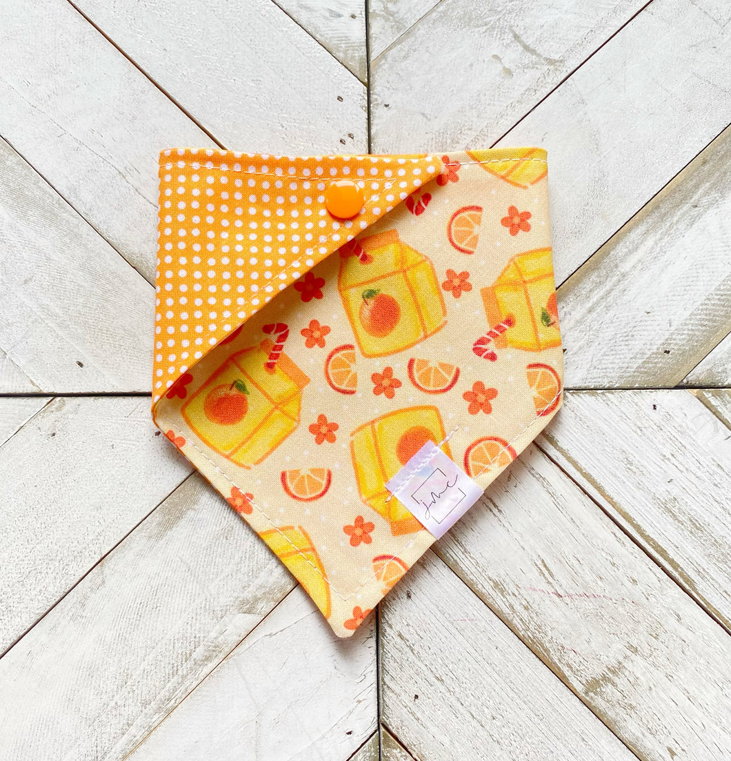Freshly Squeezed Pet Bandana