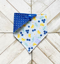 Load image into Gallery viewer, Berry Zest Pet Bandana

