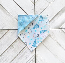 Load image into Gallery viewer, Penguin Pals Pet Bandana
