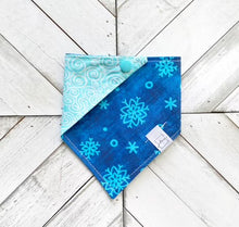 Load image into Gallery viewer, Snow Much Fun Pet Bandana
