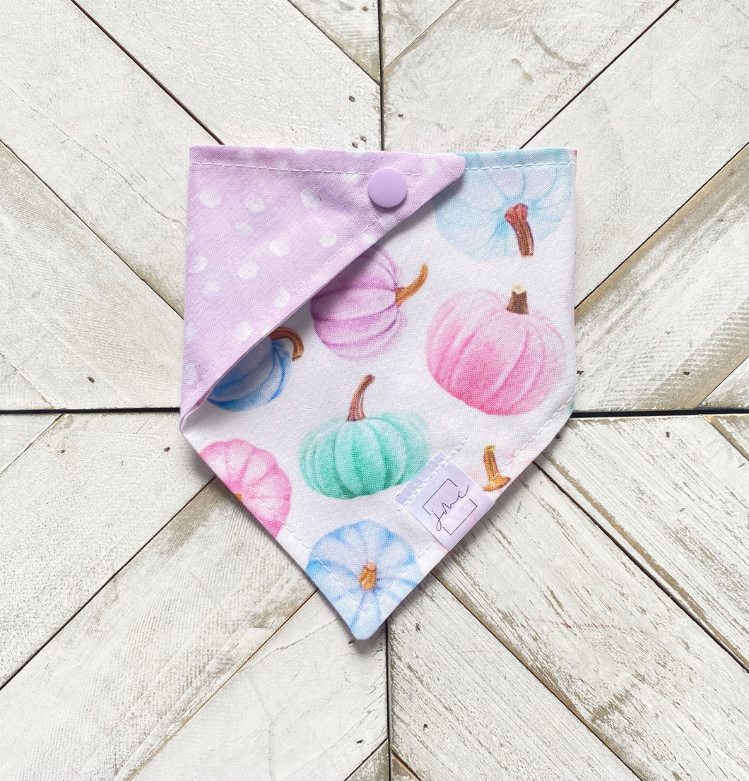 Pastel Pumpkins Pet Bandana