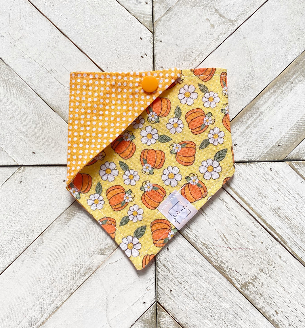 Pumpkin Bloom Pet Bandana