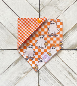 Ghost Rider Pet Bandana
