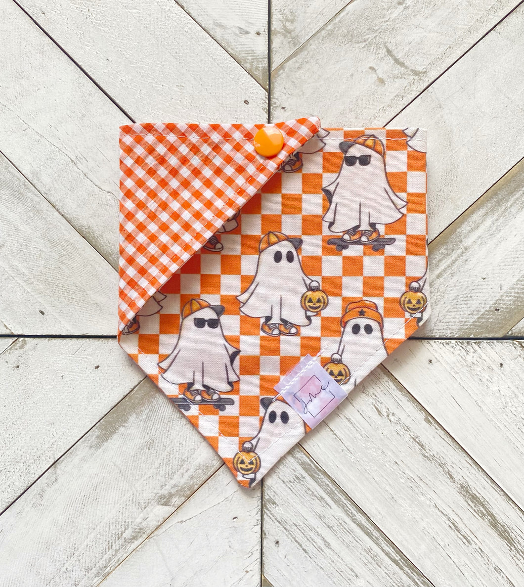 Ghost Rider Pet Bandana