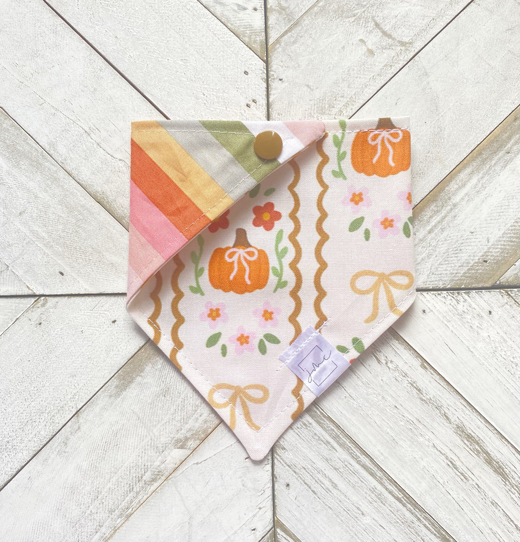 Pumpkin Lace Pet Bandana