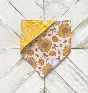Fields Of Bloom Pet Bandana