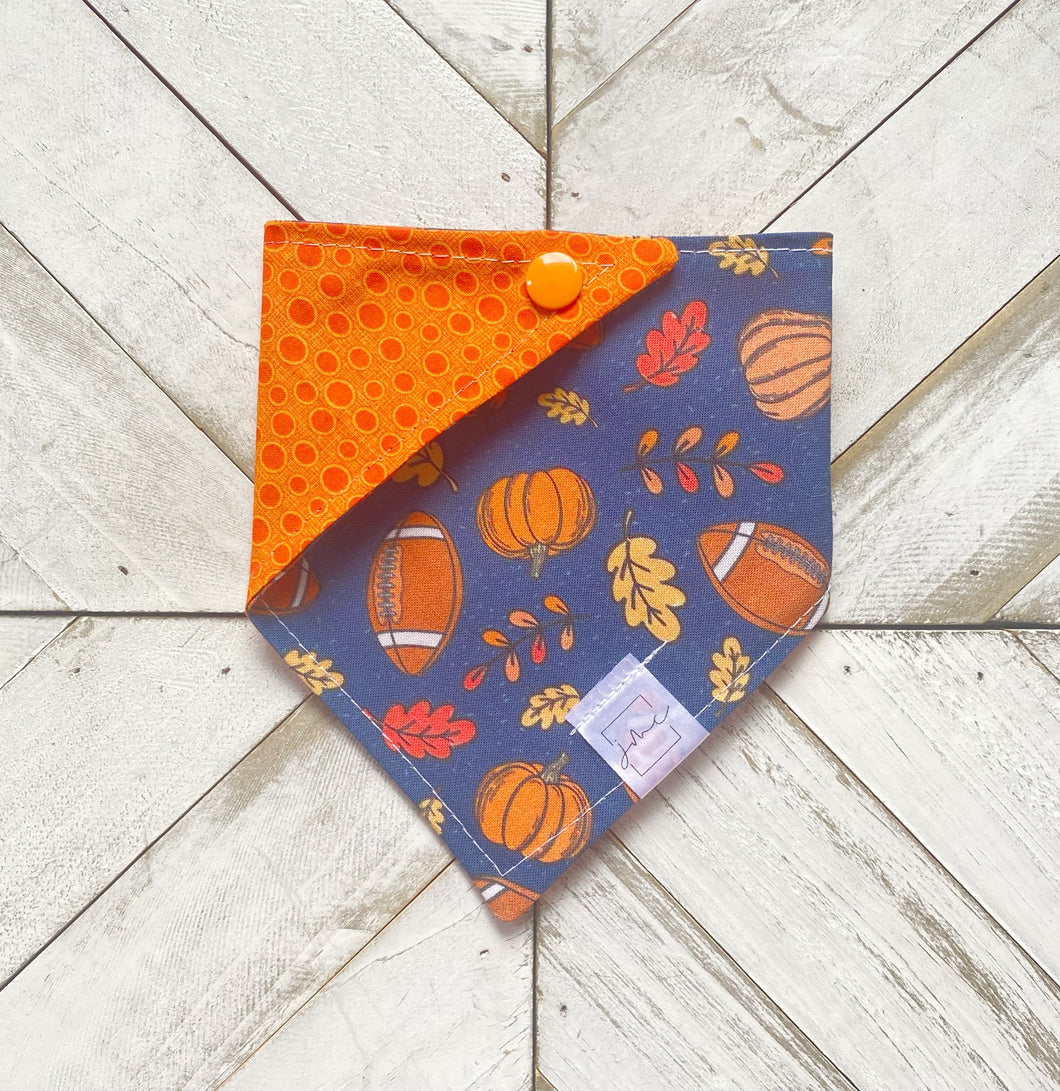 Fall Kickoff Pet Bandana