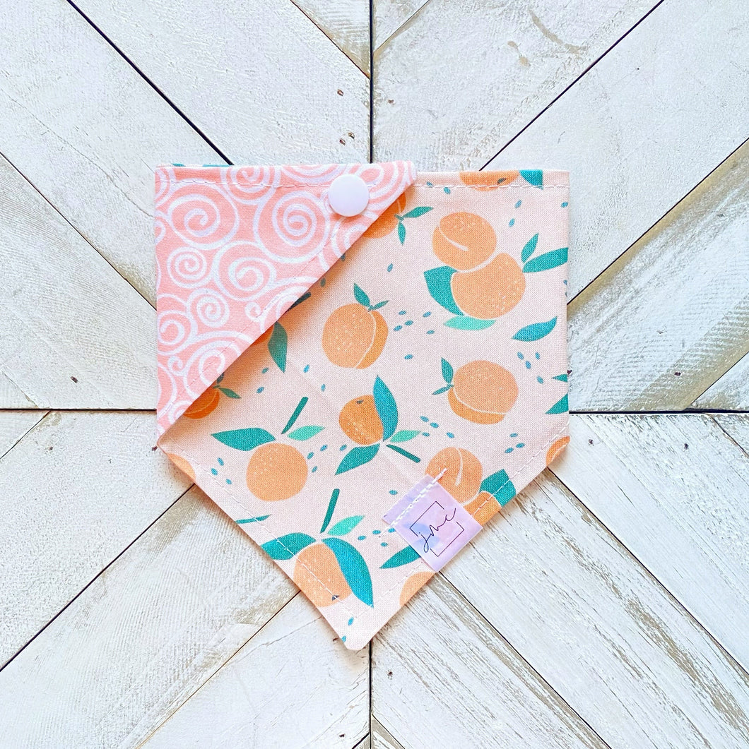 In Loving Memory Of Peaches Pet Bandana