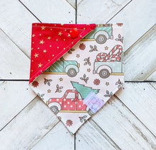 Load image into Gallery viewer, Holiday Haul Pet Bandana
