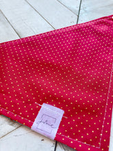 Load image into Gallery viewer, Feliz Naughty Dog Pet Bandana
