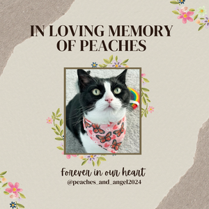In Loving Memory Of Peaches Pet Bandana