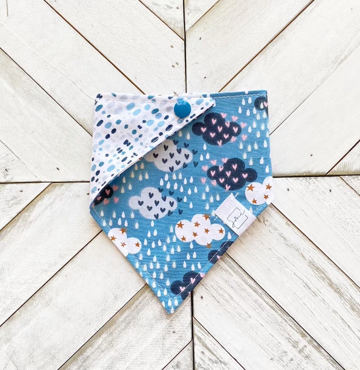 Spring Showers Pet Bandana