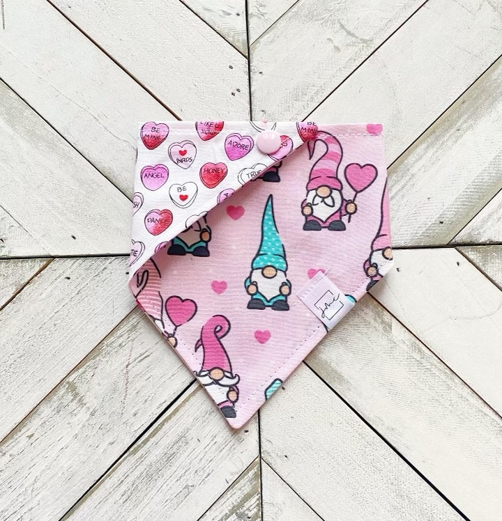 Gnome One Like You Pet Bandana