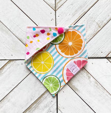 Load image into Gallery viewer, Fruit Slices Pet Bandana
