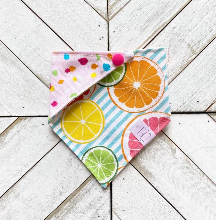 Fruit Slices Pet Bandana