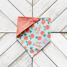 Load image into Gallery viewer, Just Peachy Pet Bandana
