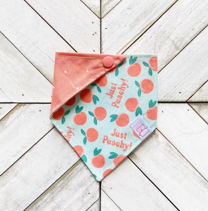 Just Peachy Pet Bandana