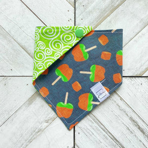 Caramel Dipped Pet Bandana