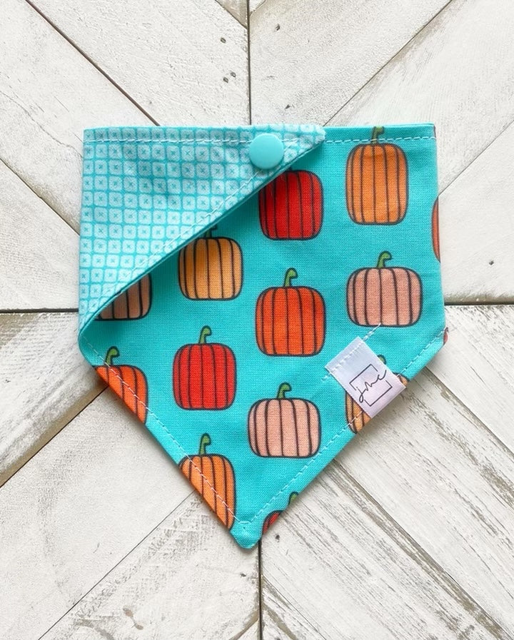 Pumpkin Paradise Pet Bandana