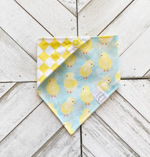 Load image into Gallery viewer, Spring Chicks Pet Bandana
