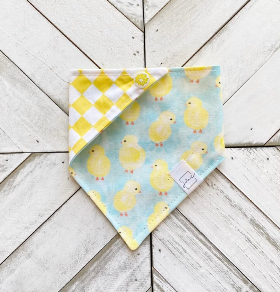 Spring Chicks Pet Bandana