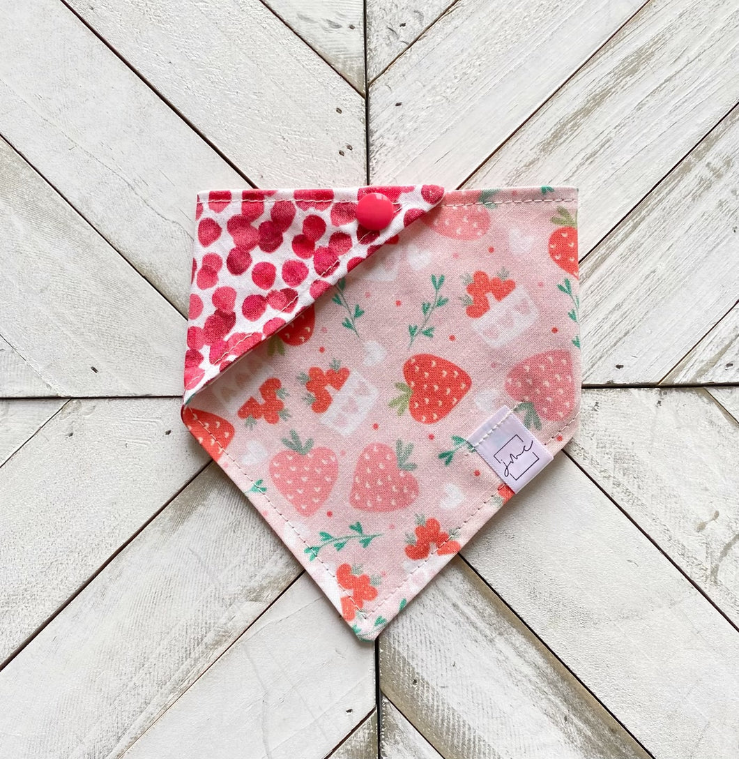 Sparkle Berry Farm Pet Bandana