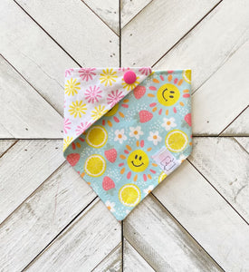 Summer Sunshine Pet Bandana