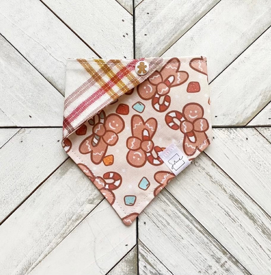 Ginger Snap Pet Bandana