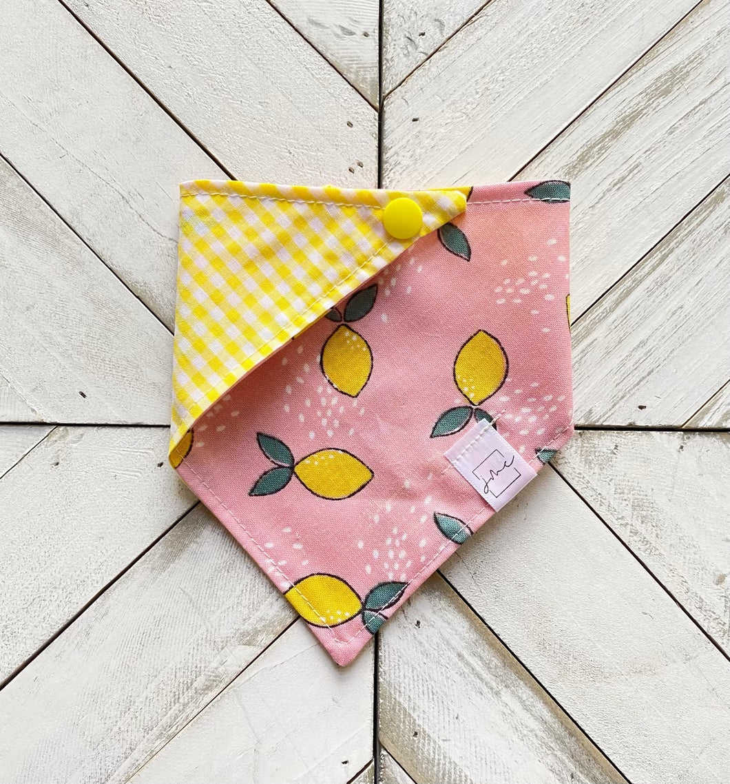 Citrus Sunshine Pet Bandana