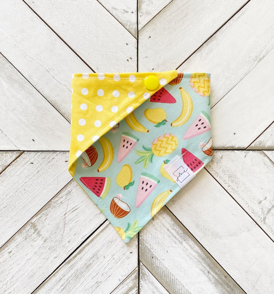 Summer Fruit Pet Bandana