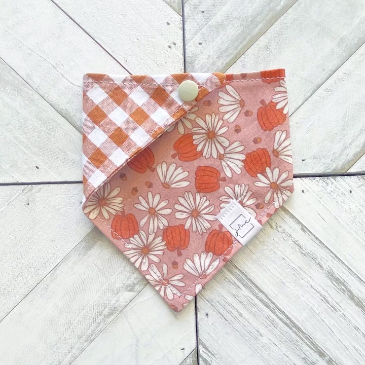 Feeling Fall Pet Bandana