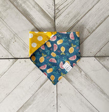 Load image into Gallery viewer, Fruit Frenzy Pet Bandana
