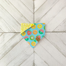 Load image into Gallery viewer, Fruit Fiesta Pet Bandana
