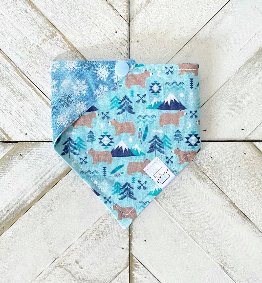 Bear-y Cold Pet Bandana