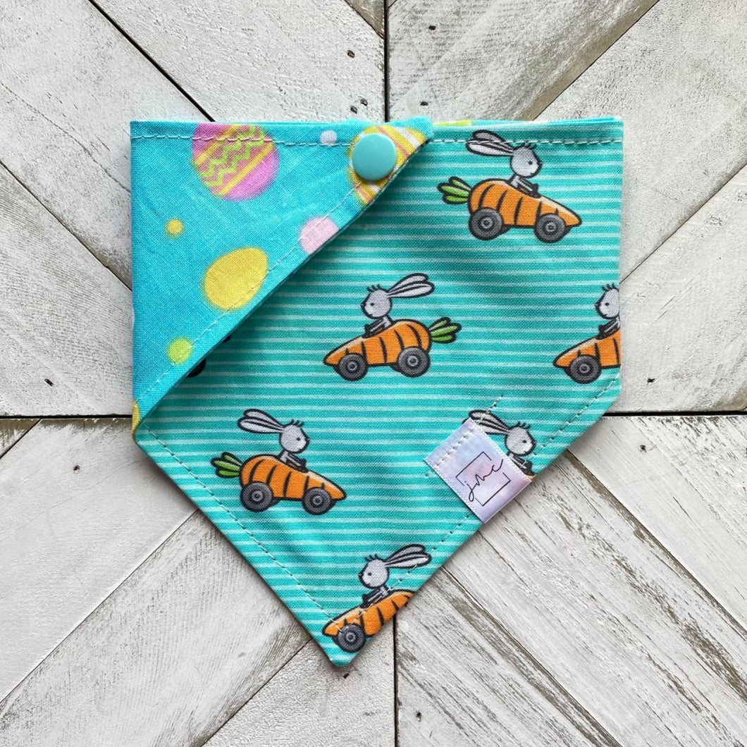 Race Carrot Pet Bandana
