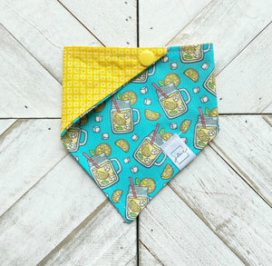 Summer Sips Pet Bandana
