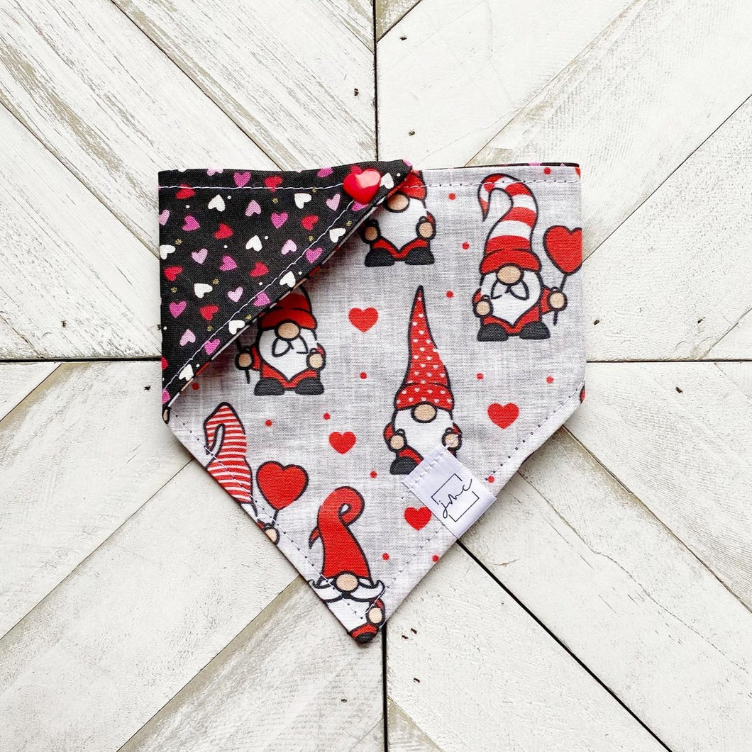 Gnome In Love Pet Bandana