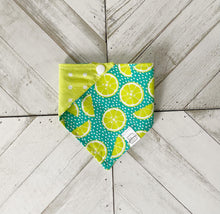 Load image into Gallery viewer, Lime Yours Pet Bandana
