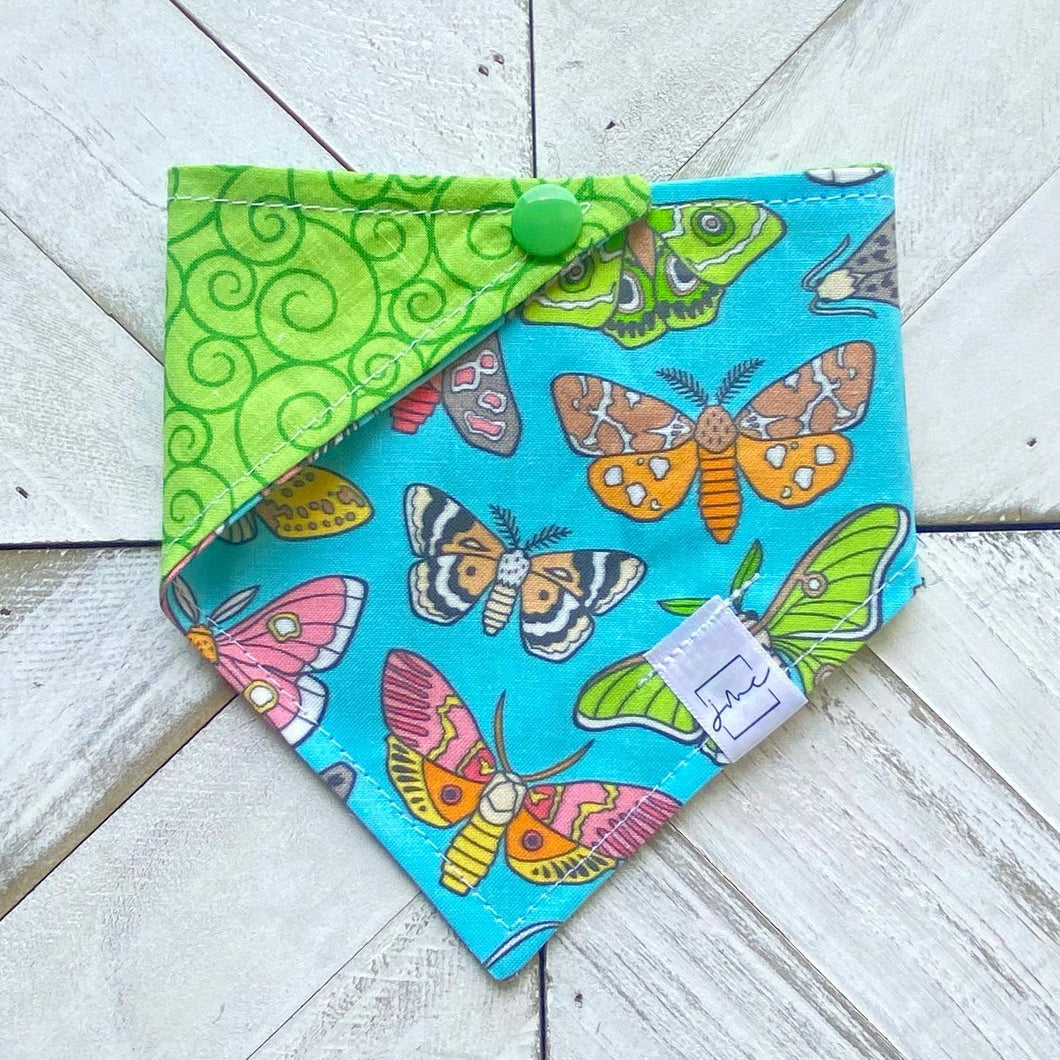 Moth Madness Pet Bandana