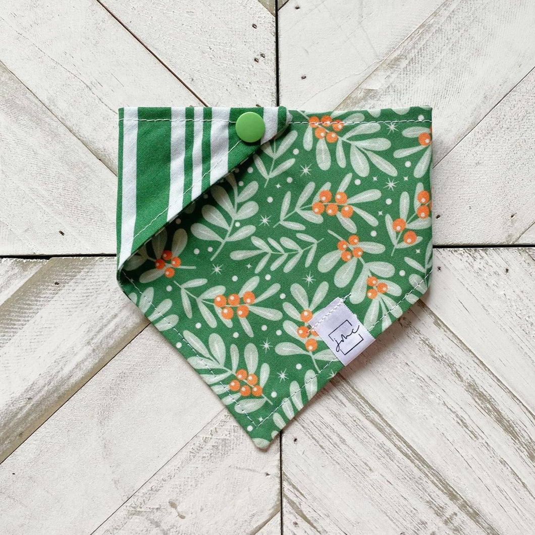 Mistletoe Kisses Pet Bandana