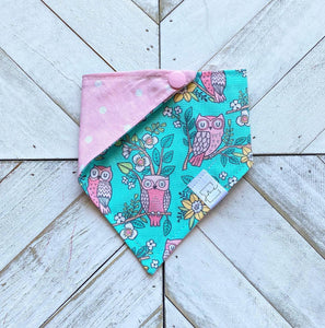 It's Owl Good Pet Bandana