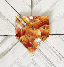 Load image into Gallery viewer, Autumn Pumpkins Pet Bandana
