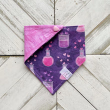 Load image into Gallery viewer, Love Potion Pet Bandana
