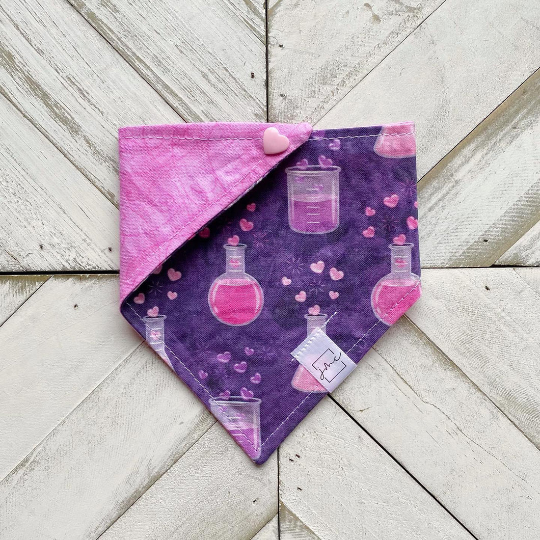 Love Potion Pet Bandana