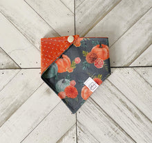 Load image into Gallery viewer, Fall Harvest Pet Bandana
